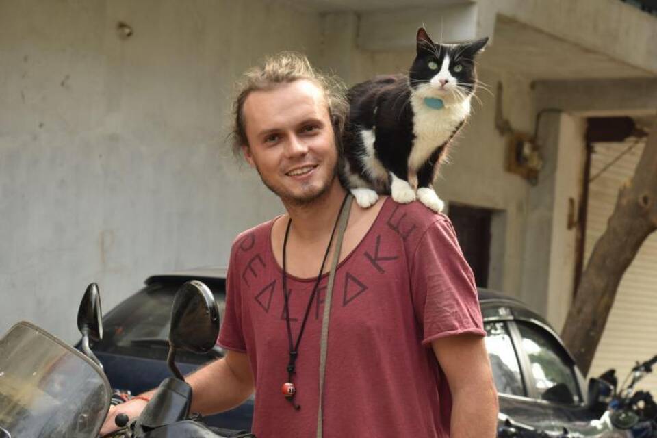 Katze auf Weltreise Katze auf Weltreise