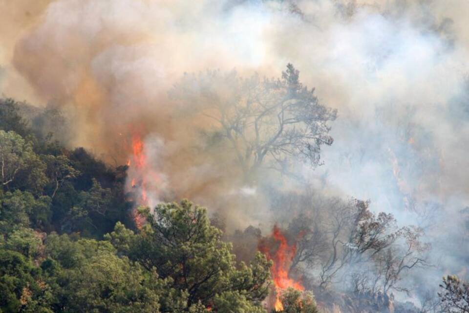 Feuer in der Türkei Feuer in der Türkei