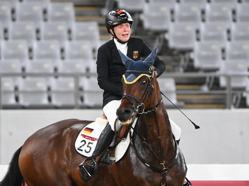Das Pferd macht nicht mit - KLARO! - RNZ