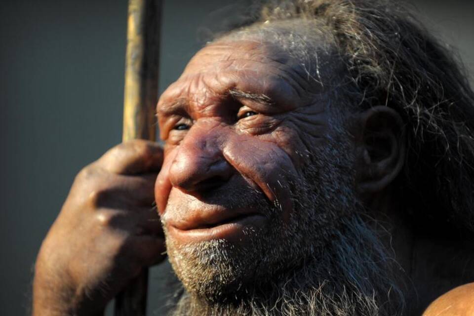 Neanderthal-Museum