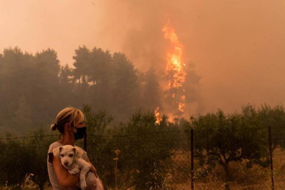 Waldbrand