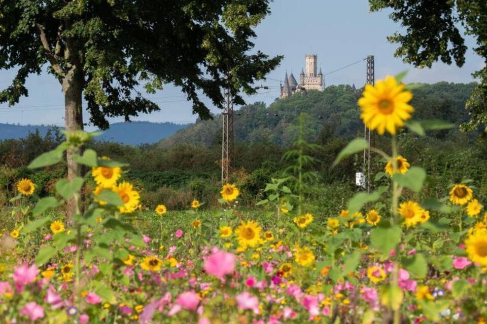 Sommerwetter Sommerwetter
