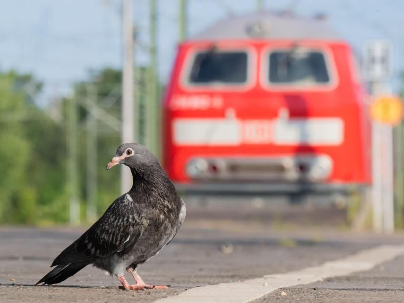 Deutsche Bahn: Lokführer beenden erste Streikwelle ...