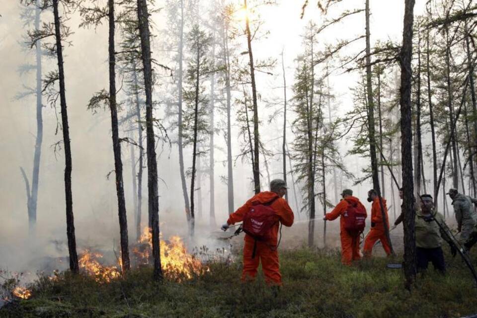 Waldbrände in Russland