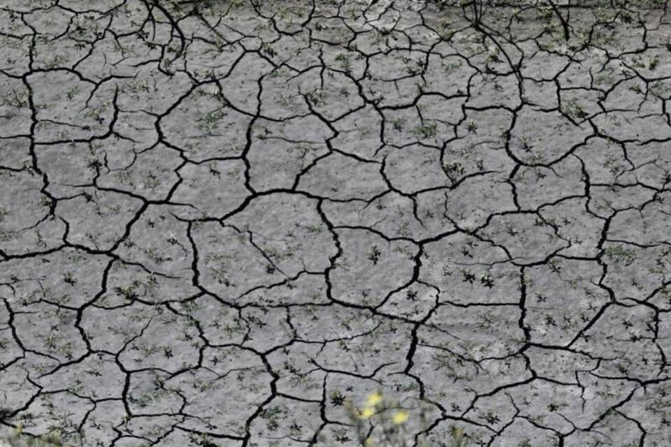 Dürre in Kalifornien