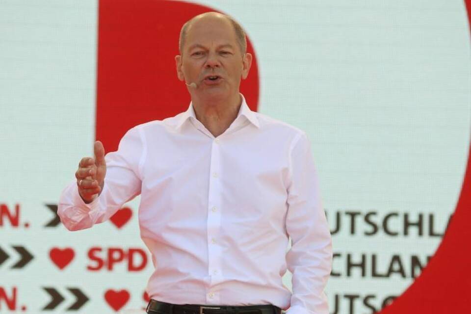 Scholz Scholz