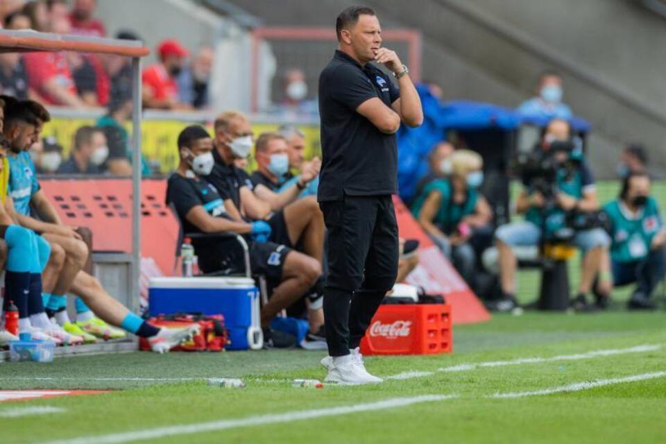 Pal Dardai Pal Dardai
