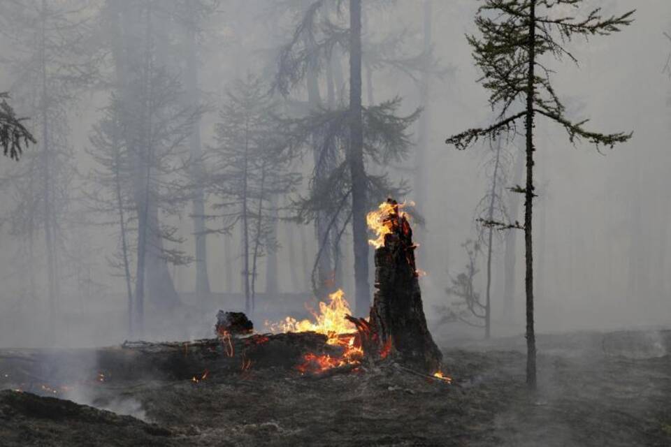 Waldbrände in Russland