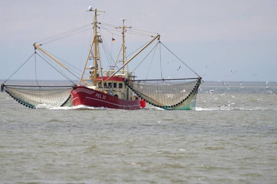 Fischfang Fischfang