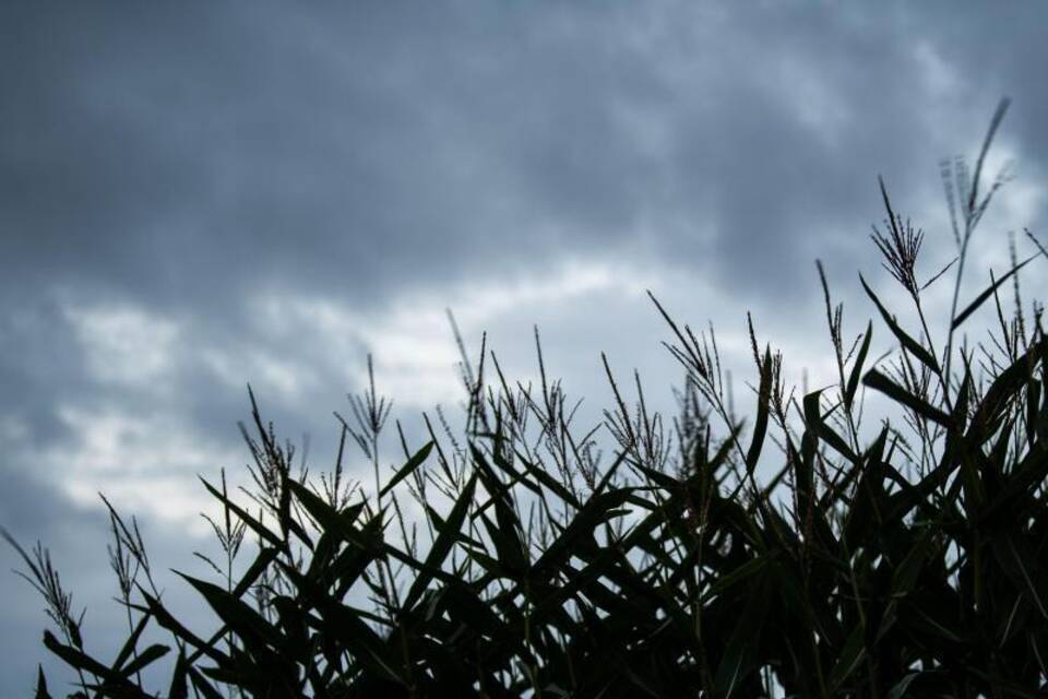 Dunkle Wolken Dunkle Wolken