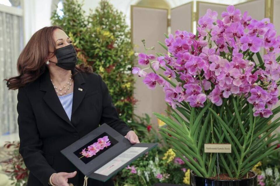 US-Vizepräsidentin Kamala Harris in Singapur