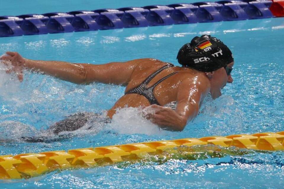 Bronze Bronze