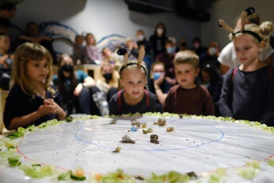 Schneckenrennen Schneckenrennen