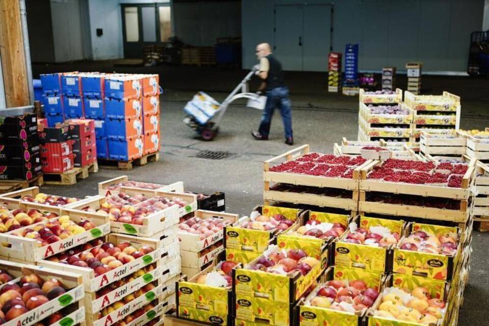 Gemüse-Großhandel Gemüse-Großhandel