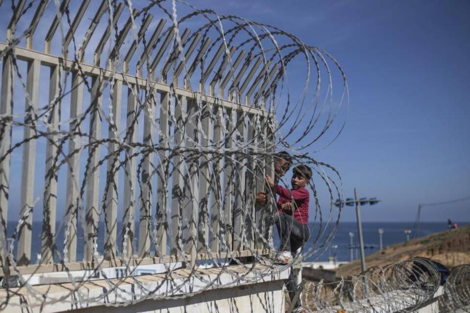 Migration Migration