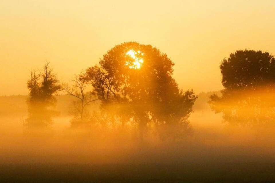 Sonnenschein Sonnenschein