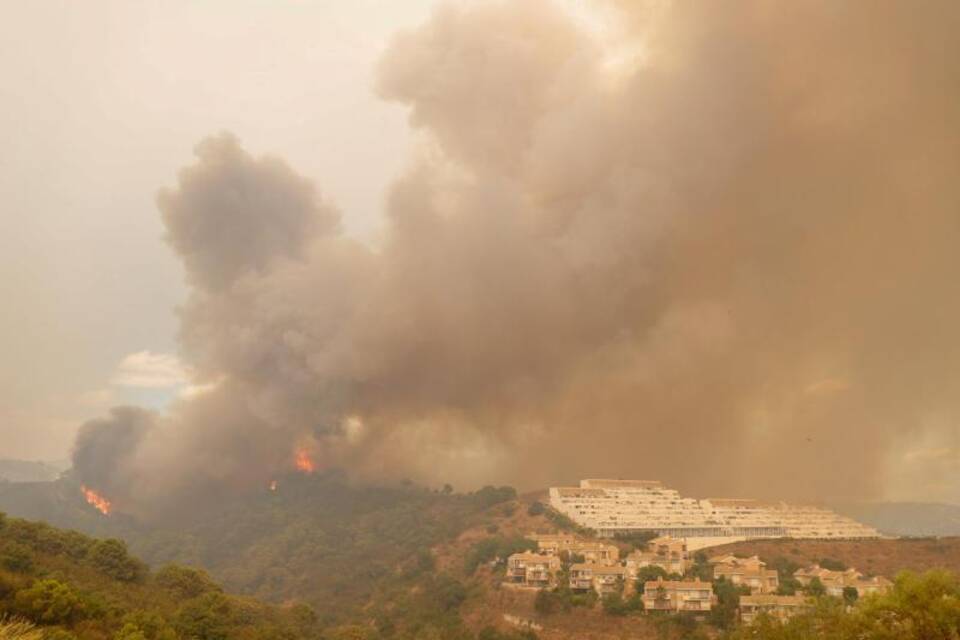 Waldbrand Waldbrand