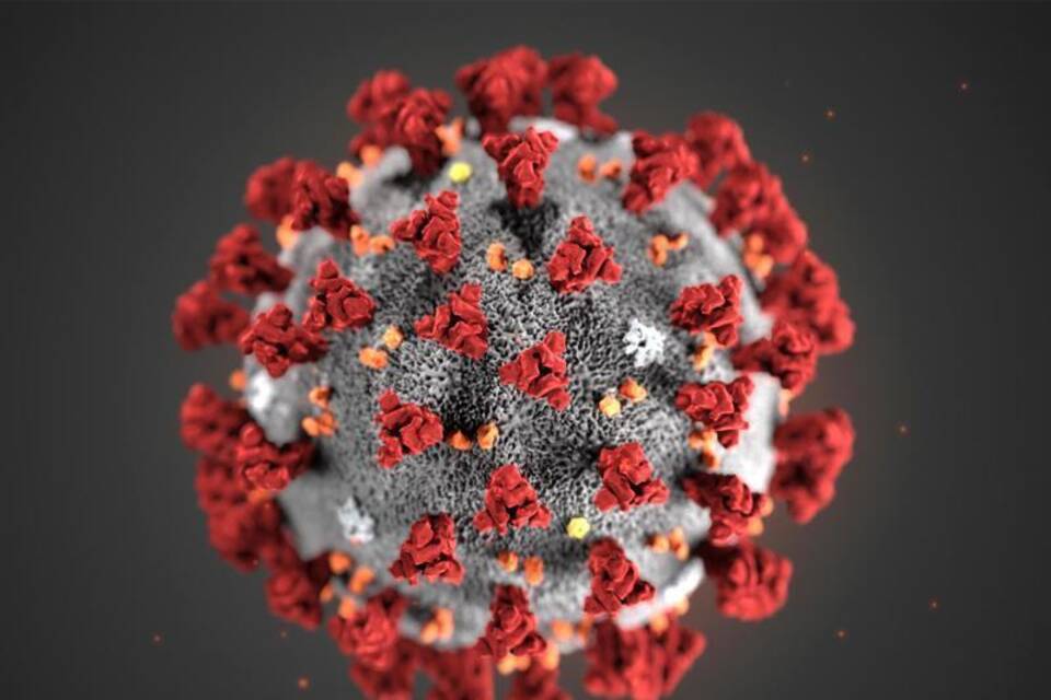 Illustration Coronavirus Illustration Coronavirus