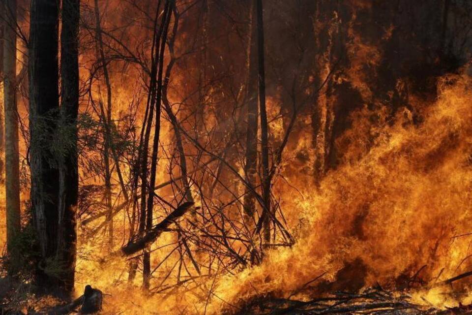 Waldbrand Waldbrand