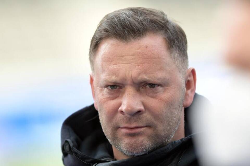 Pal Dardai Pal Dardai