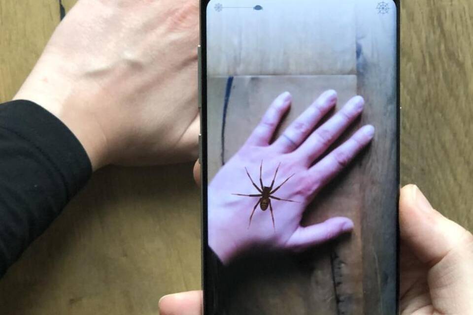 Mit dem Handy gegen Spinnenangst Mit dem Handy gegen Spinnenangst