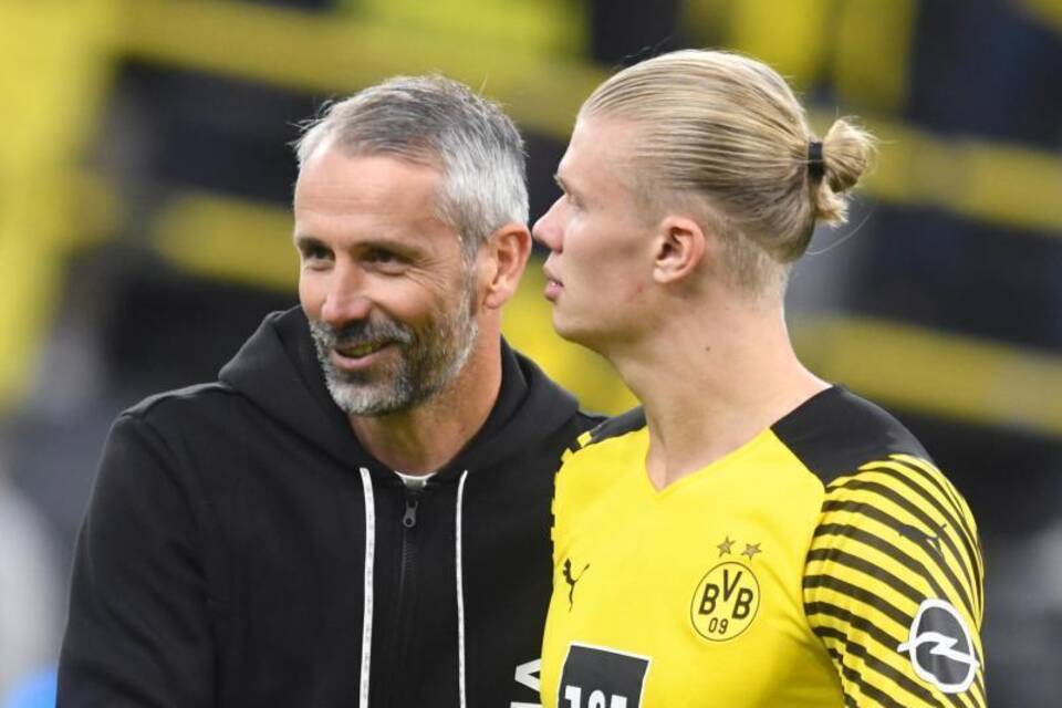 BVB-Star BVB-Star