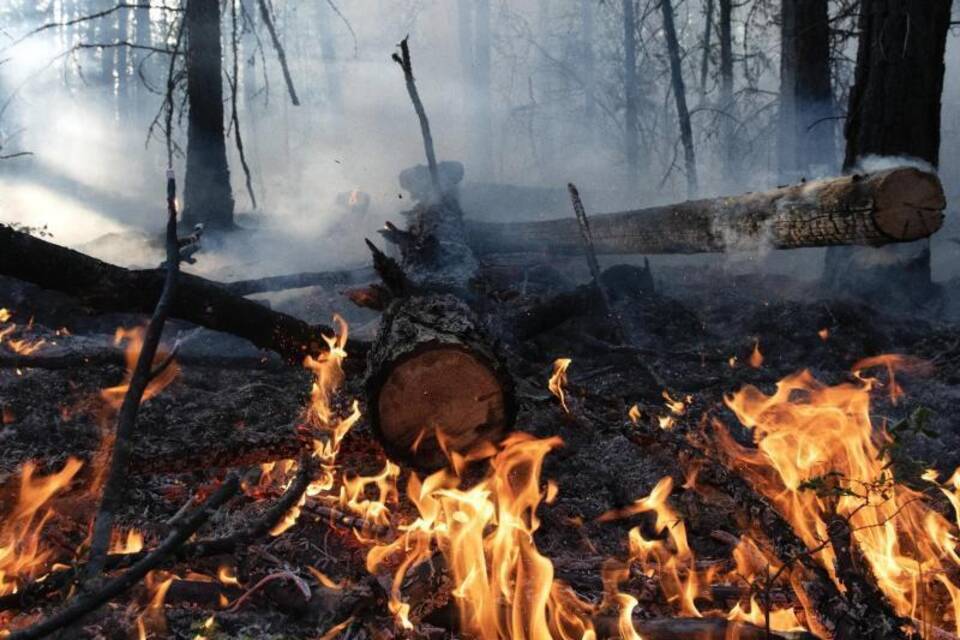 Waldbrände in Russland