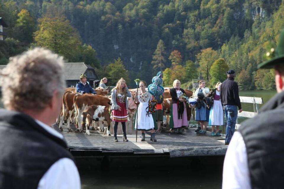 Almabtrieb am Königssee