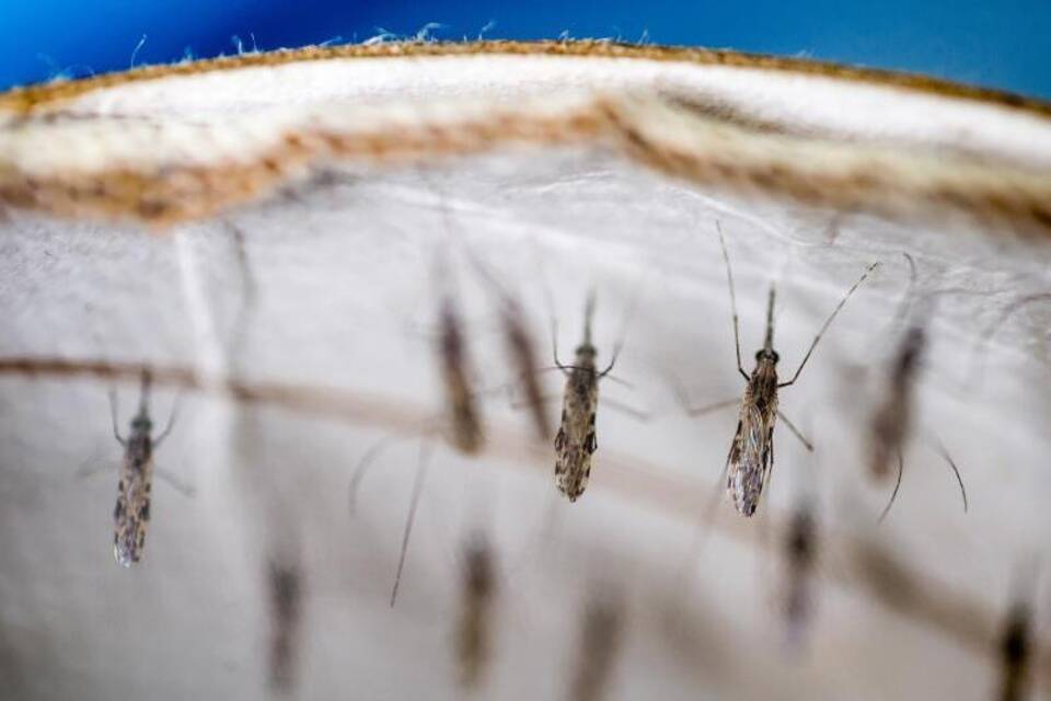 Kampf gegen Malaria Kampf gegen Malaria