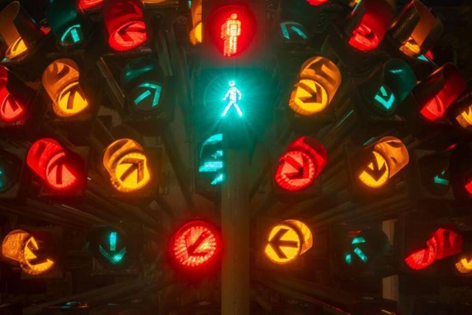 Ampelblume Ampelblume