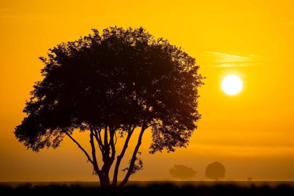 Sonnenaufgang in Niedersachsen Sonnenaufgang in Niedersachsen