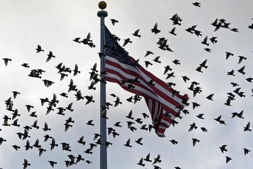 US-Flagge US-Flagge
