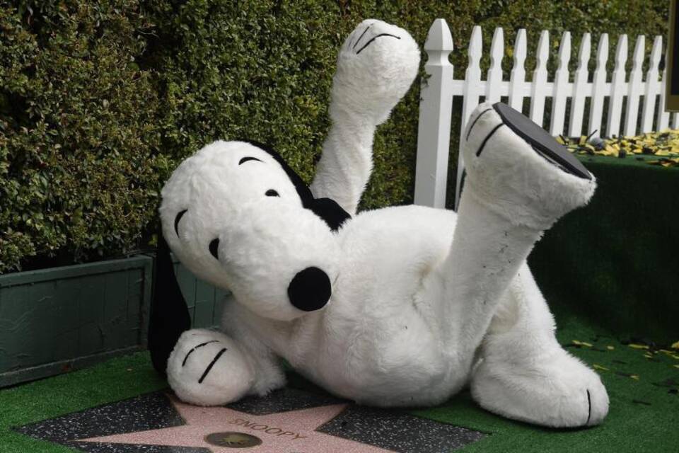Wie manche Hunde zur Legende wurden Wie manche Hunde zur Legende wurden