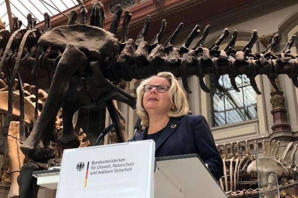 Weltnaturkonferenz Weltnaturkonferenz