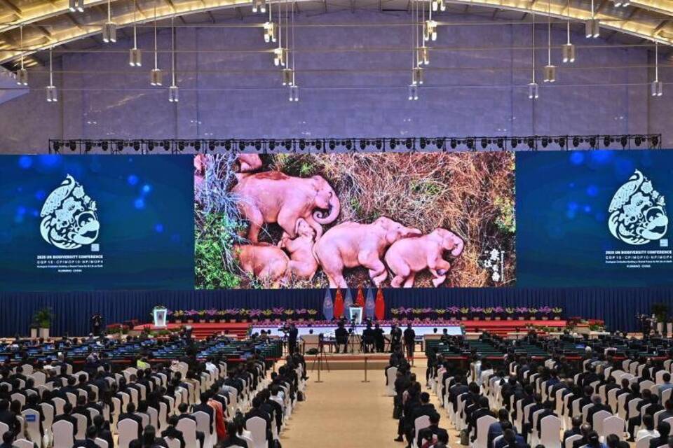 Weltnaturschutzkonferenz in China