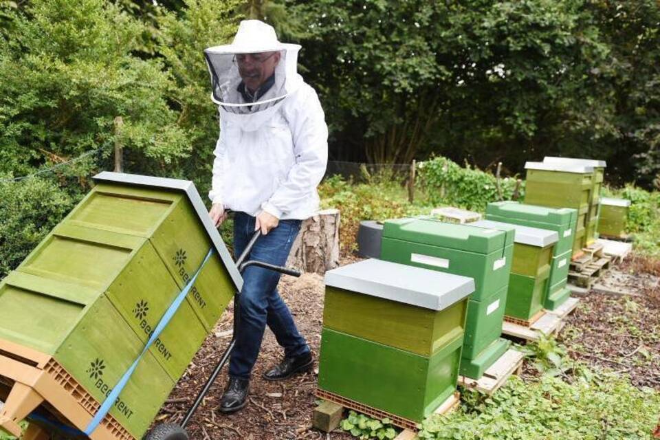 «Bee-Rent» «Bee-Rent»