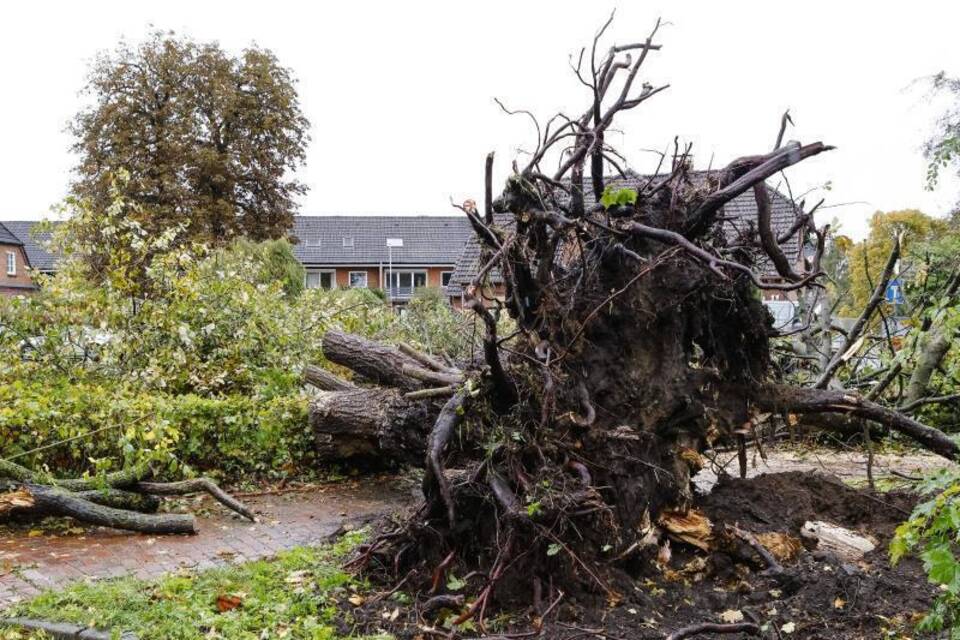 Tornado Tornado
