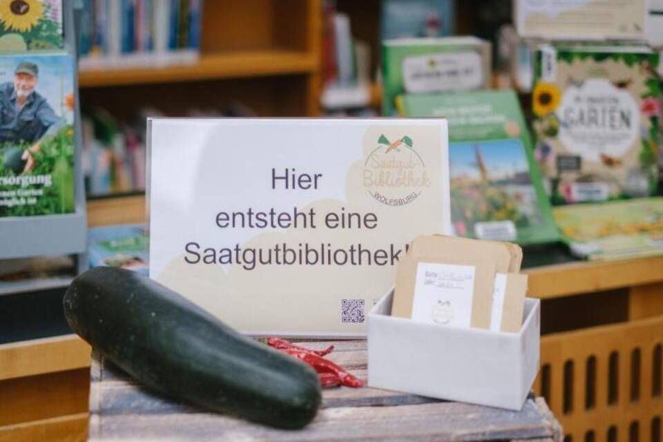 Saatgut Saatgut