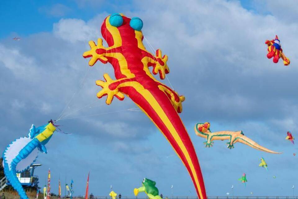 Drachenfest Drachenfest