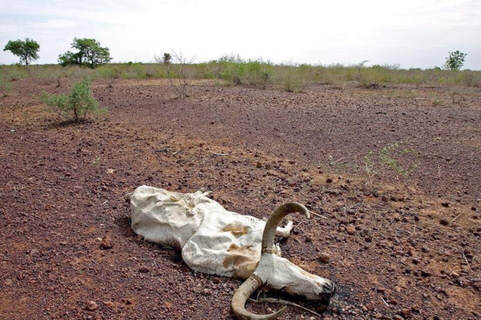 Trockenheit in der Sahel-Zone Trockenheit in der Sahel-Zone