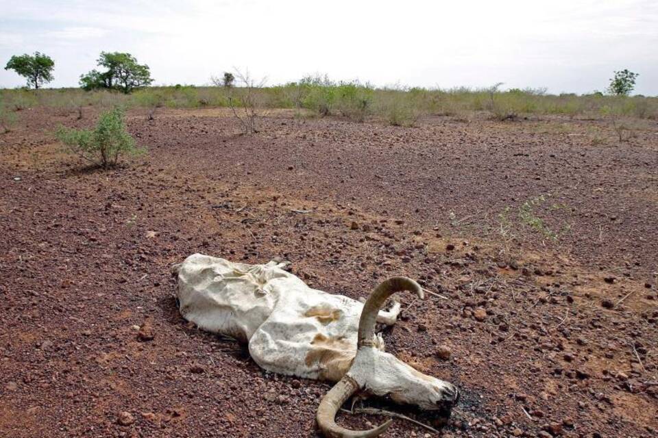 Trockenheit in der Sahel-Zone