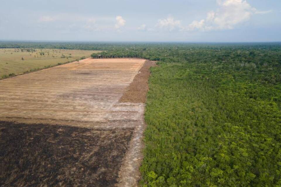 Amazonas-Gebiet Amazonas-Gebiet