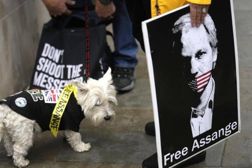 «Free Assange»