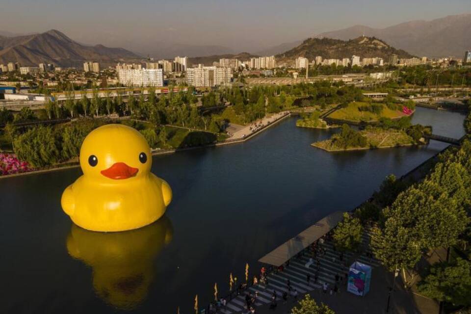 Riesen-Ente Riesen-Ente