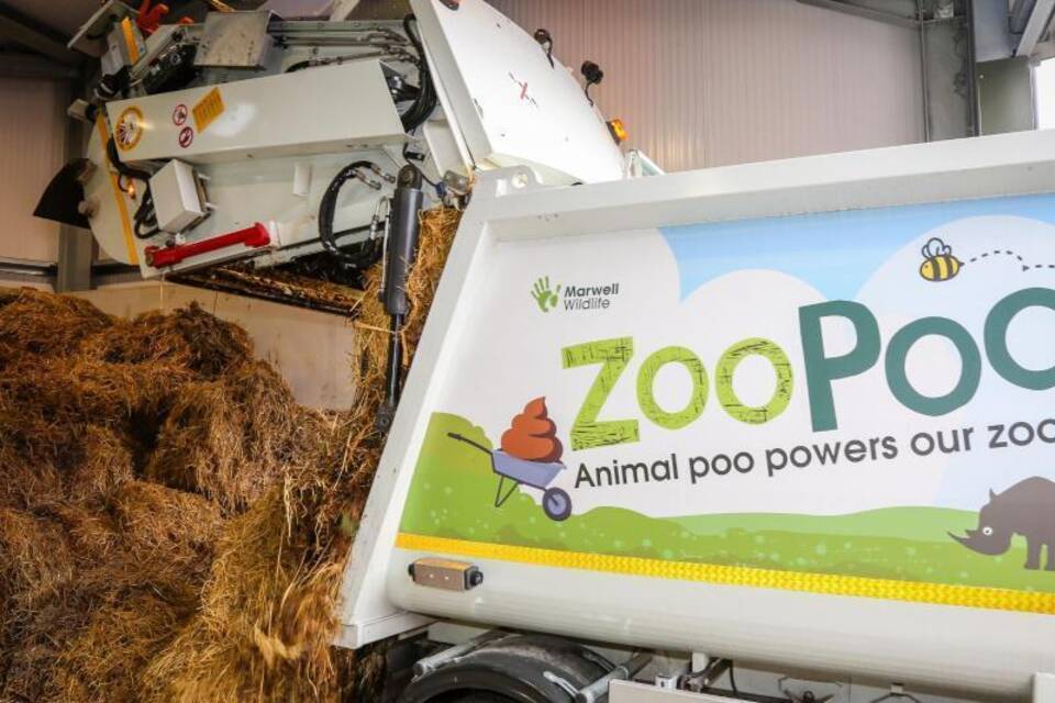 «Zoo Poo»: Englischer Zoo nutzt Tierfäkalien für Heizung