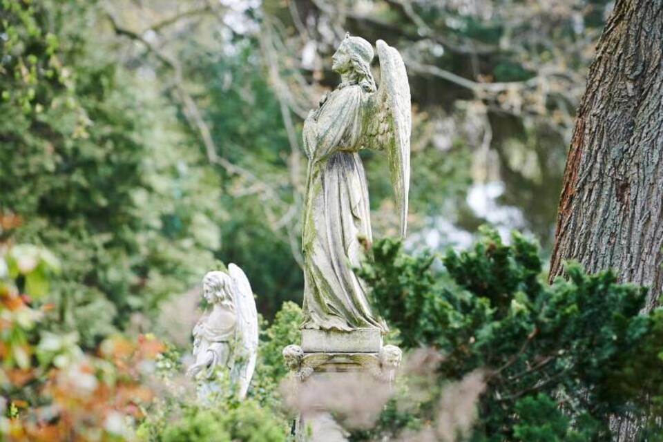 Friedhof Friedhof