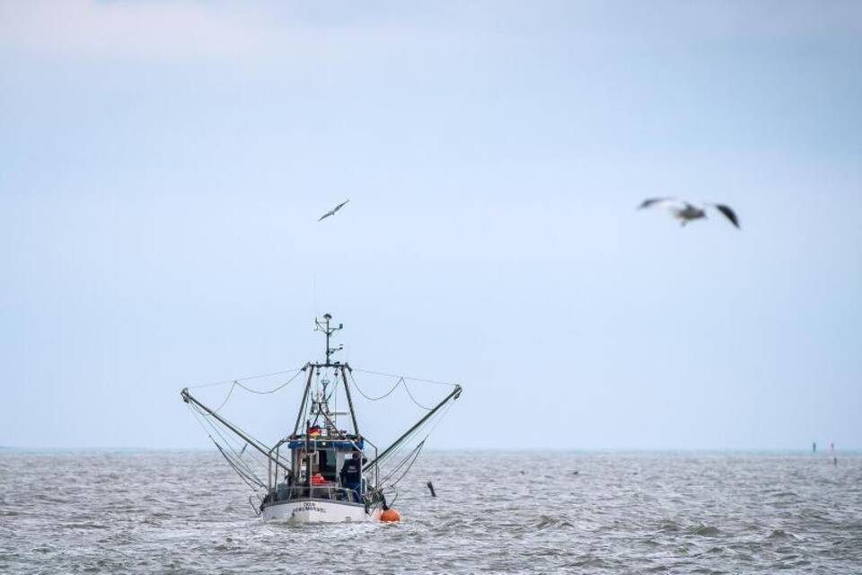 Fischereitag berät über Auswirkungen von Klimawandel