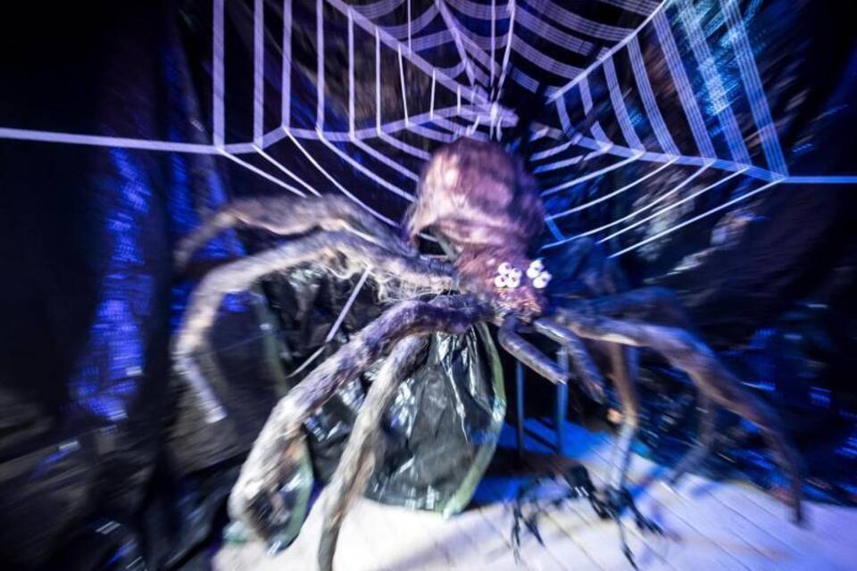 Spinne