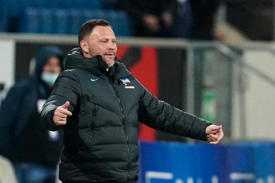 Dardai Dardai