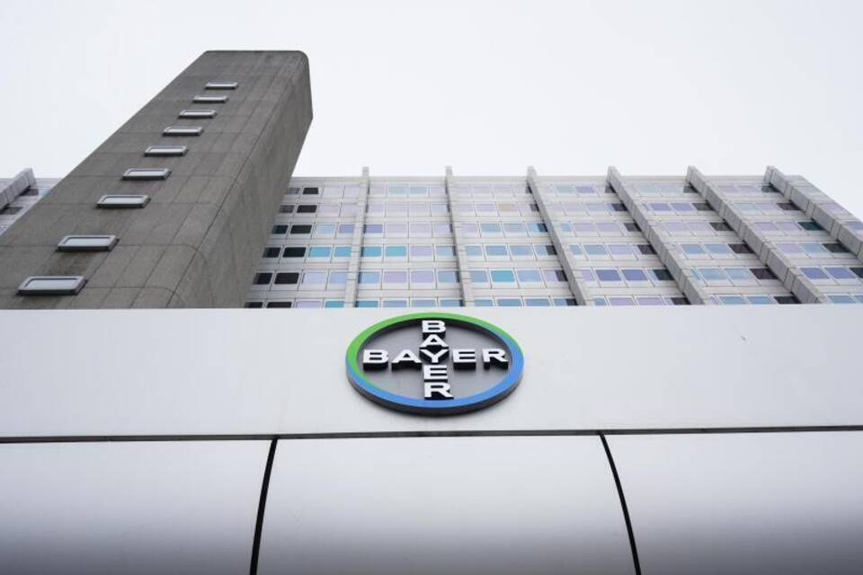 Bayer Bayer